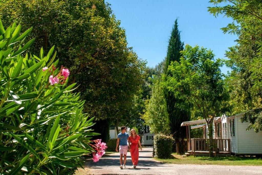 Mobil Home Tout Confort 6 Personnes Climatise Au Pied Du Luberon La Roque-d'Antheron Dış mekan fotoğraf