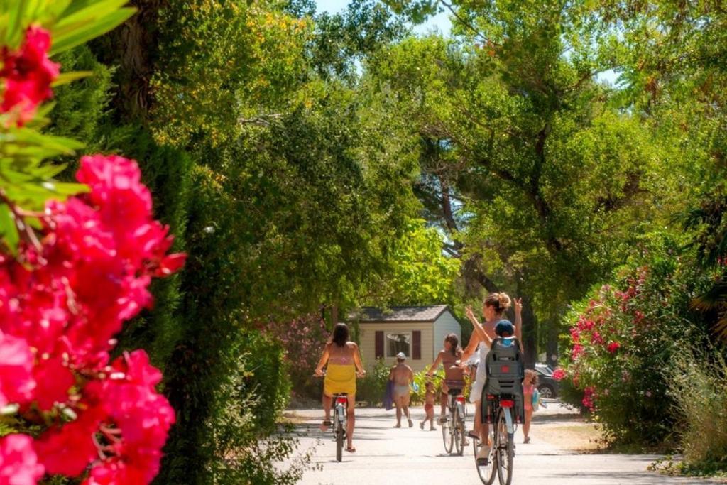 Mobil Home Tout Confort 6 Personnes Climatise Au Pied Du Luberon La Roque-d'Antheron Dış mekan fotoğraf